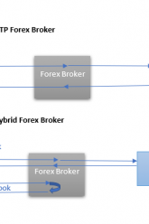 stp-hybrid-forex-brokers