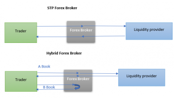 stp-hybrid-forex-brokers